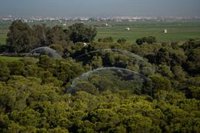 València 'defiende' la Devesa del Saler del riesgo extremo de incendios con ocho cañones de agua