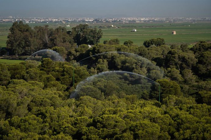 Cañones de la Dehesa del Saler, a 16 de julio de 2025, en Valencia. 