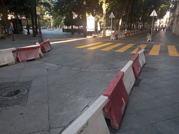 Carril habilitado al tráfico rodado en la Plaza Nueva.
