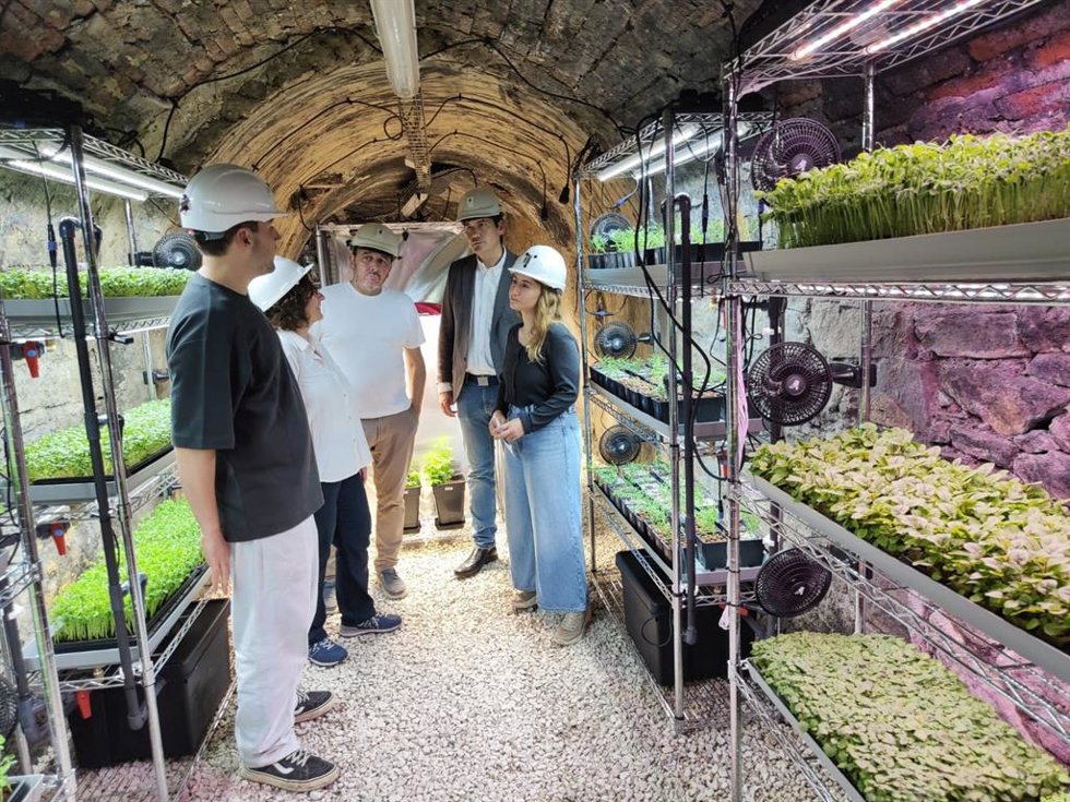 El Gobierno de Asturias impulsa los primeros cultivos subterráneos del país con un proyecto de agricultura minera en el pozo Carrio de Laviana