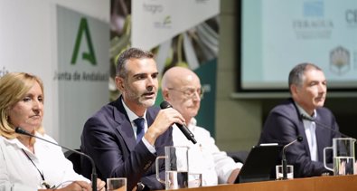 Es Andalucía - Sevilla