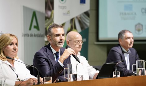 Es Andalucía - Sevilla