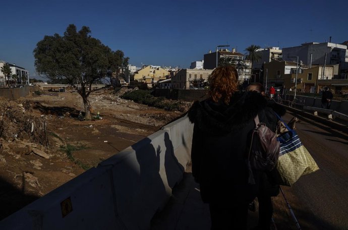 Archivo - Arxiu - Una dona observa l'eucaliptus que ha resistit a la Dana en el barranc del Poyo (arxiu)
