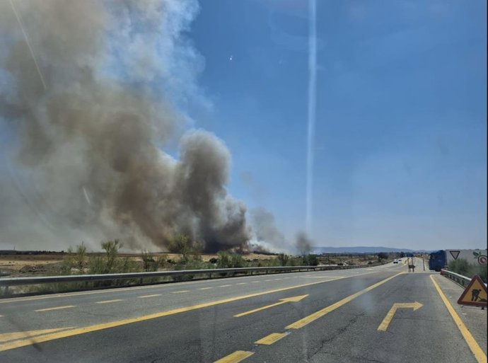 Infoex activa el nivel 1 de peligrosidad por un incendio forestal en Cáceres por afección a carreteras