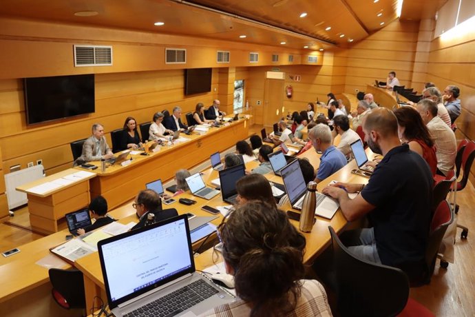 El rector de la Universidade da Coruña (UDC), Ricardo Cao, preside la reunión del consejo de gobierno de la UDC.