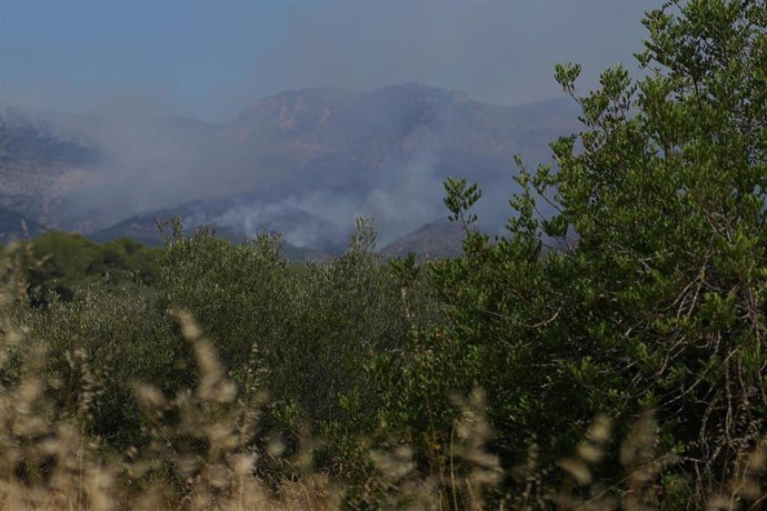 Humo del incendio de Paüls (Tarragona).