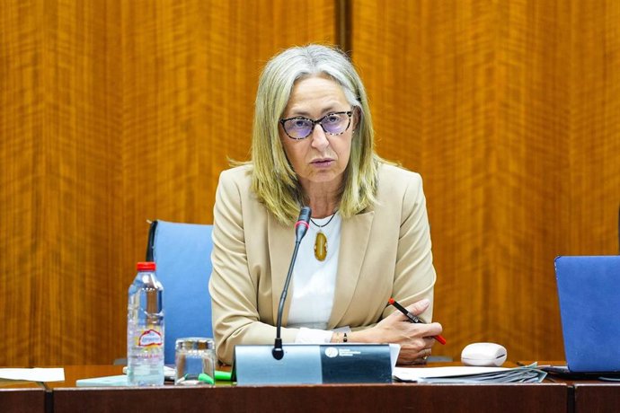 La consejera de Salud y Consumo, Rocío Hernández, en la comisión parlamentaria del 16 de julio de 2025.