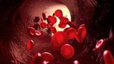 Foto: Más del 70% de los pacientes de hemofilia presenta síntomas de ansiedad o depresión