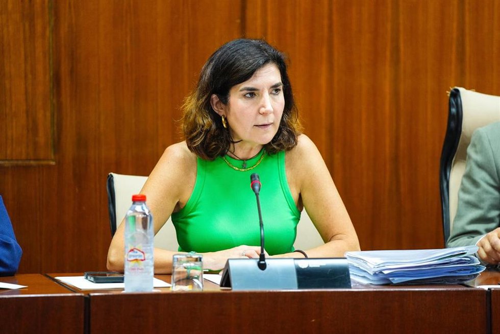 La consejera de Empleo, Empresa y Trabajo Autónomo, Rocío Blanco, en comisión parlamentaria a fecha de 16 de julio de 2025.