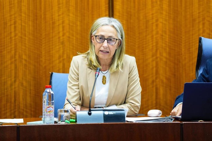 La consejera de Salud y Consumo, Rocío Hernández, en la comisión parlamentaria del 16 de julio de 2025.