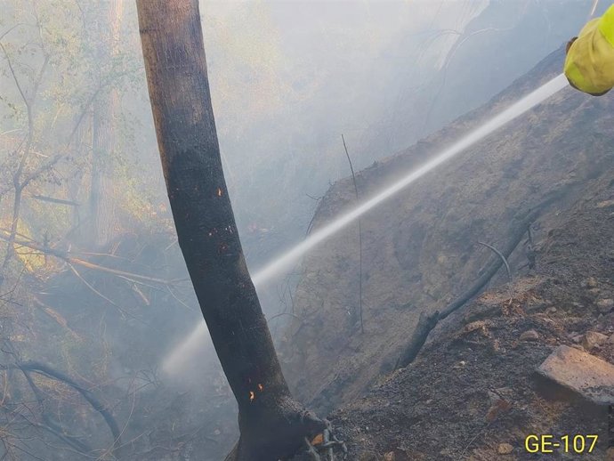 Incendio en la zona de Aguas Blancas