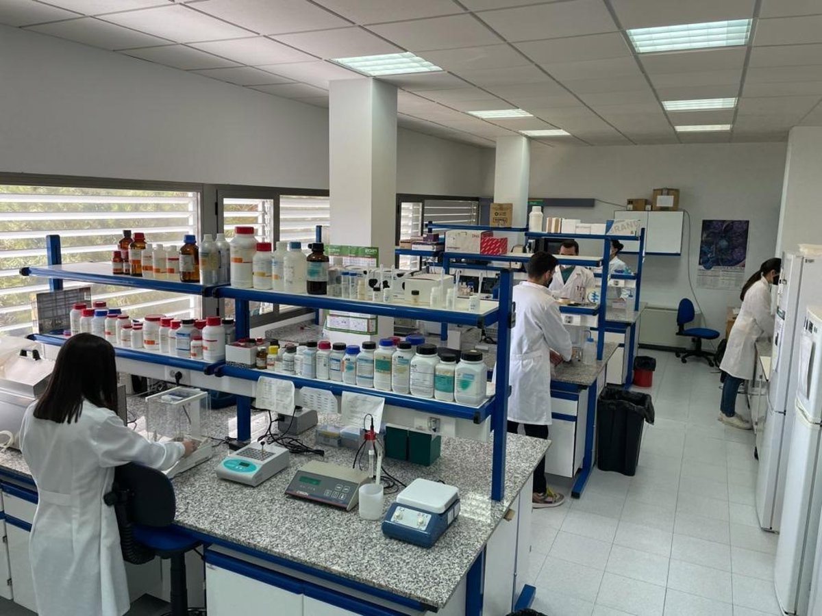 La Junta concede casi 6 millones en ayudas a 207 grupos de investigación para promover sus capacidades científicas