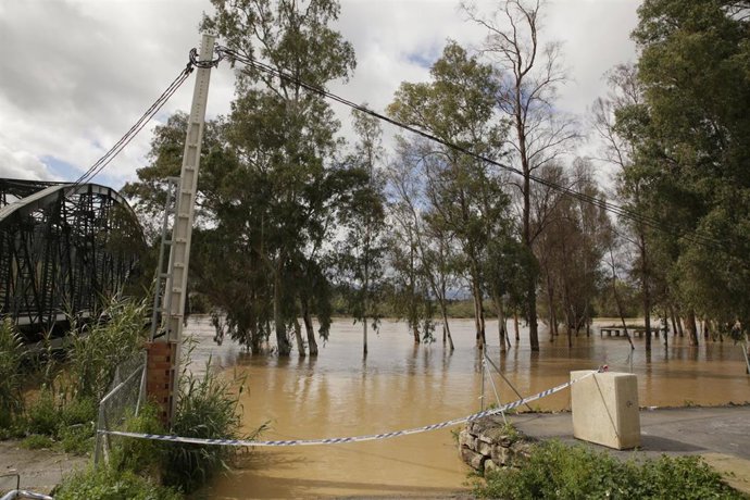 Archivo - Inundaciones en el distrito de Campanillas. A 18 de marzo de 2025, en Málaga (Andalucía, España). 