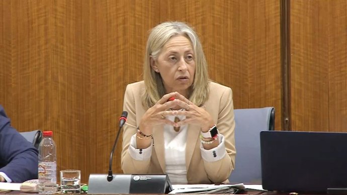 La consejera de Salud y Consumo de la Junta de Andalucía, Rocio Hernádnez.