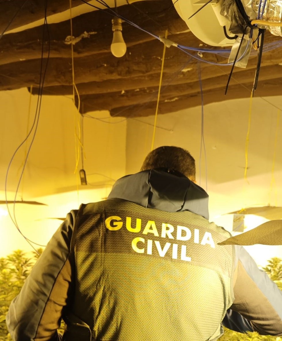 Agente en el interior de la plantación desmantelada en una vivienda de La Carolina