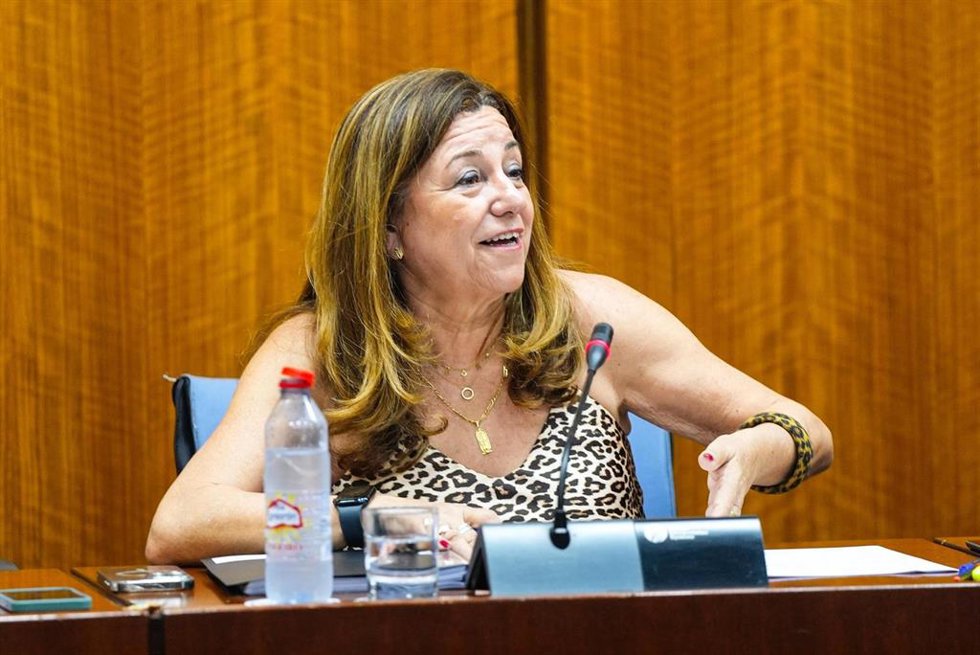 La consejera de Desarrollo Educativo, María del Carmen Castillo, en la comisión del 17 de julio de 2025.