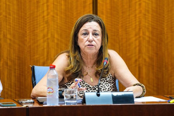 La consejera de Desarrollo Educativo, María del Carmen Castillo, en la comisión del 17 de julio de 2025.