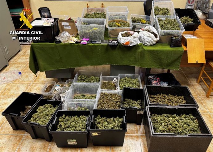 Diversas drogas incautadas por la Guardia Civil en sa Pobla y Sencelles