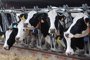 Organizaciones agrarias rechazan 