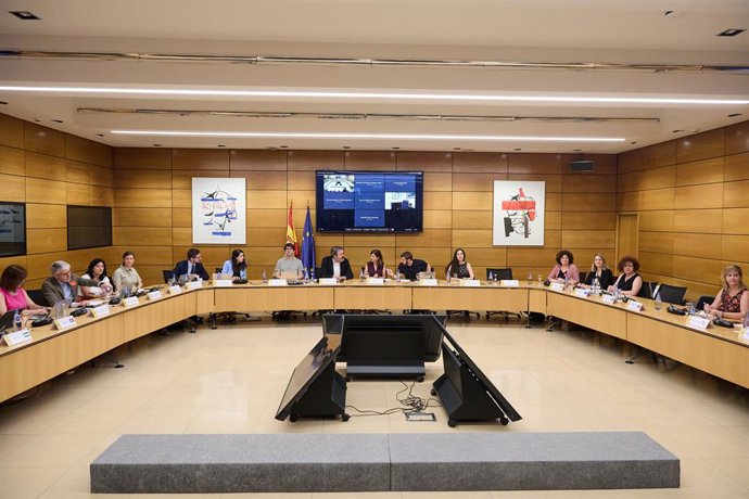 La Conferència Sectorial d'Infància i Adolescència 