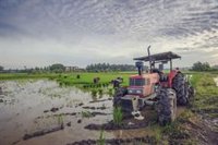 Asaja Sevilla anuncia ya protestas por el "ataque deliberado" de la UE a agricultores y ganaderos con la nueva PAC