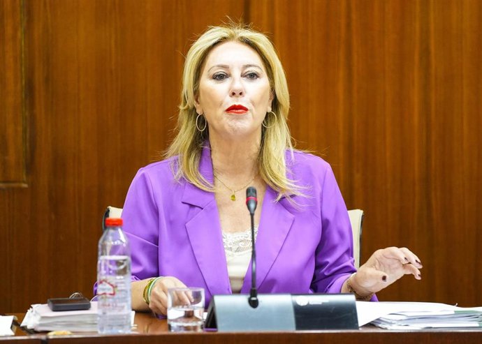 La consejera de Economía, Hacienda y Fondos Europeos, Carolina España, comparece en comisión parlamentaria.