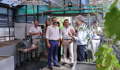 Es Andalucía - Córdoba