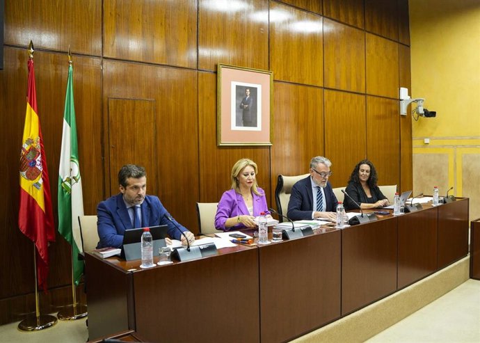 Imagen de este jueves de la comparecencia de la consejera de Economía, Carolina España, en comisión en el Parlamento.