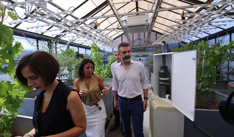 Es Andalucía - Córdoba