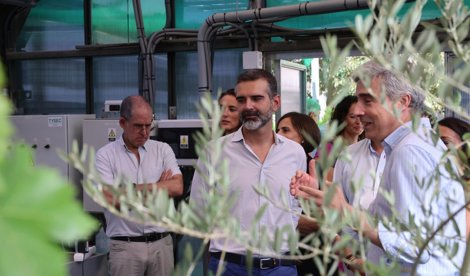 Es Andalucía - Córdoba