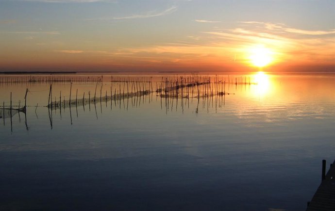 Archivo - Arxiu - Imatge d'arxiu de l'Albufera de València.   