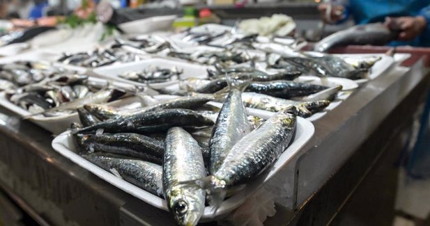 Pesca Galicia