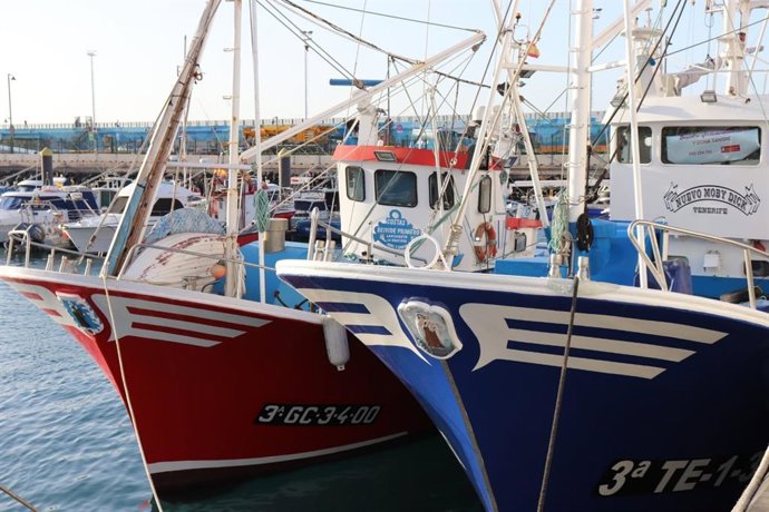 Barco pesqueiro, pesca en Canarias