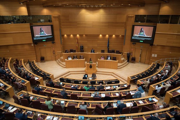 A senadora do PP, Rosa Romero, durante uma sessão plenária no Senado, em 17 de julho de 2025, em Madri (Espanha). A sessão plenária do Senado deu hoje a aprovação final à reforma da lei sobre o Acordo Econômico de Navarra, que foi acordada pelos governos 