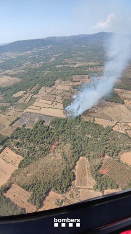 Incedio entre Pla de Santa Maria y Santes Creus (Tarragona)