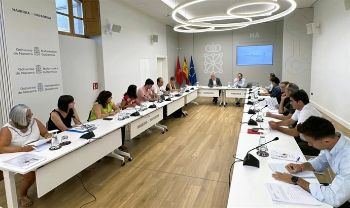 El vicepresidente Taberna, en el Consejo para la promoción de la Accesibilidad Universal celebrado esta mañana en el Palacio de Navarra.