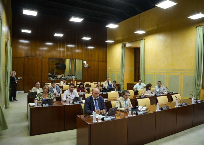 Diputados en la comisión de Presidencia, Interior, Diálogo Social y Simplificación Administrativa del Parlamento andaluz.
