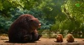 Foto: Pixar se adentra en el mundo animal en Hoppers, que ya tiene tráiler y fecha de estreno