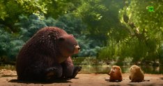 Cine