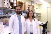 Foto: Controlan el estado de metilación de un gen clave de la respuesta inflamatoria