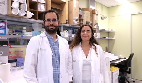 Investigación