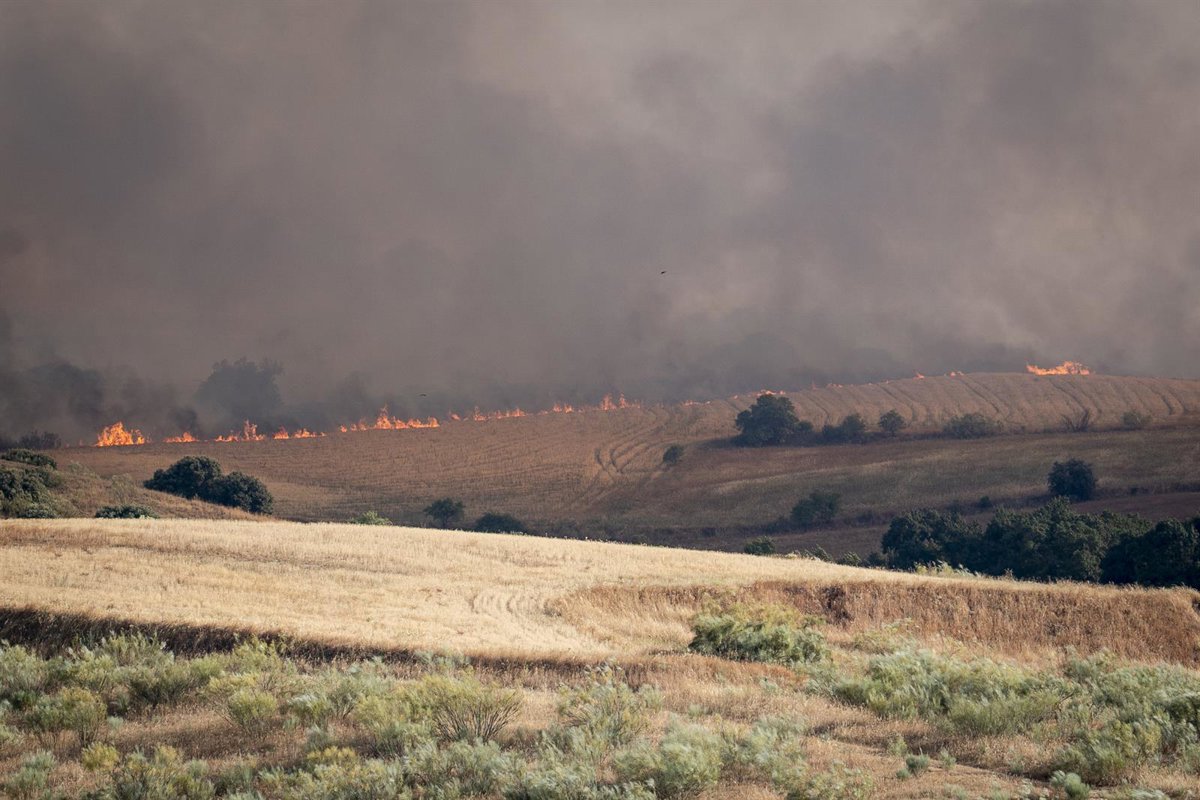 Madrid pedirá la ayuda de la UME en el incendio de Méntrida, que ha consumido 2.500 hectáreas