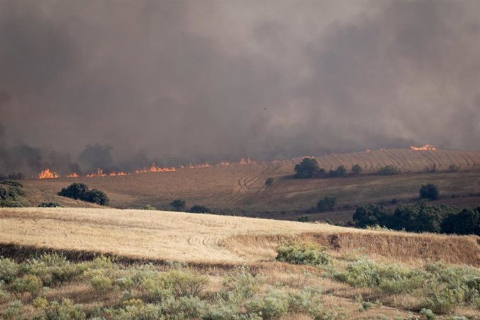 Vídeo de la noticia