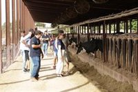 Prohens apunta que el presupuesto de la UE destinado para la PAC "amenaza la viabilidad" del sector primario de Baleares