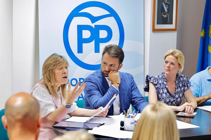 El residente del Partido Popular de Asturias, Álvaro Queipo, antes del inicio de la junta local del PP de Avilés.