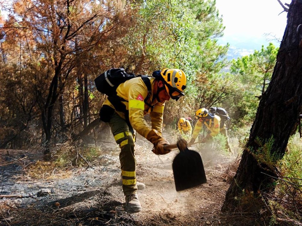 Archivo - Bomberos forestales, en foto de archivo.