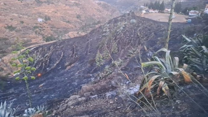 Zona quemada en el incendio declarado en Juacalillo, en Gáldar (Gran Canaria)