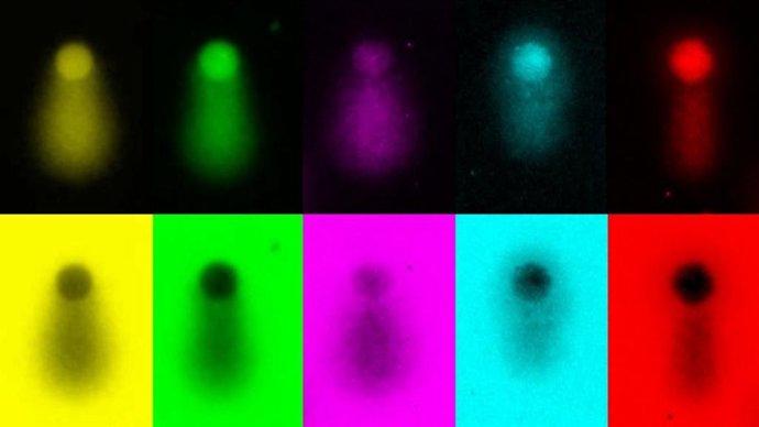 Imagem artística do DNA durante a replicação, no formato de uma cauda de cometa.