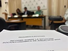 'Informe Sobre La Situación Socioeconómica De Andalucía'.