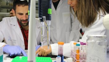 Investigación